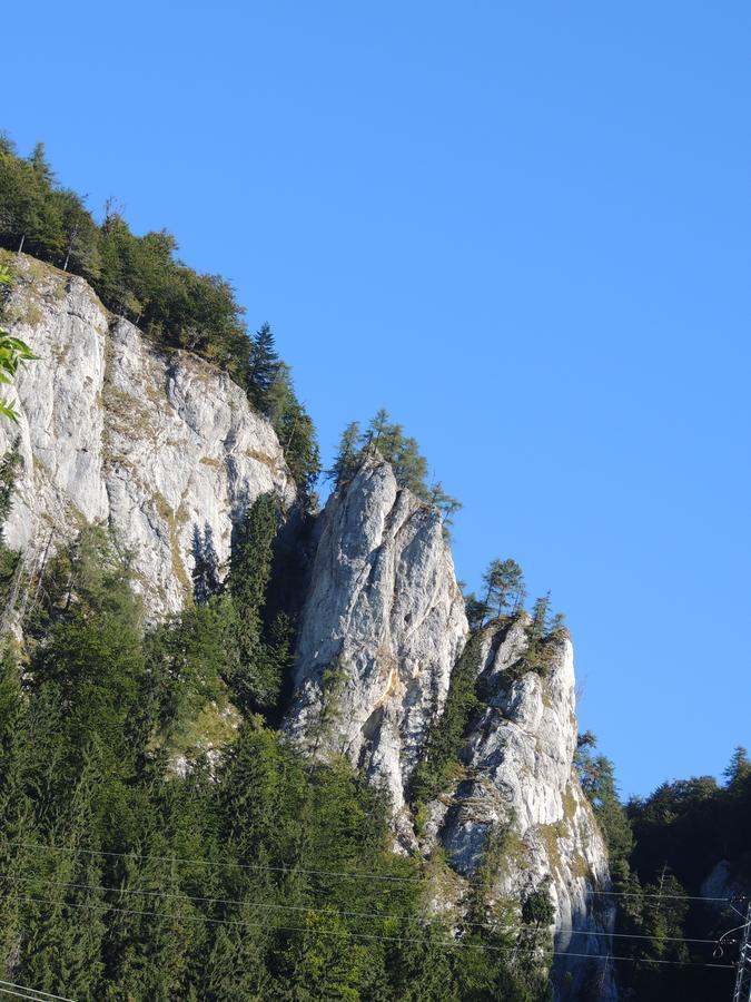 Penzion Borovica Stratená Exteriör bild