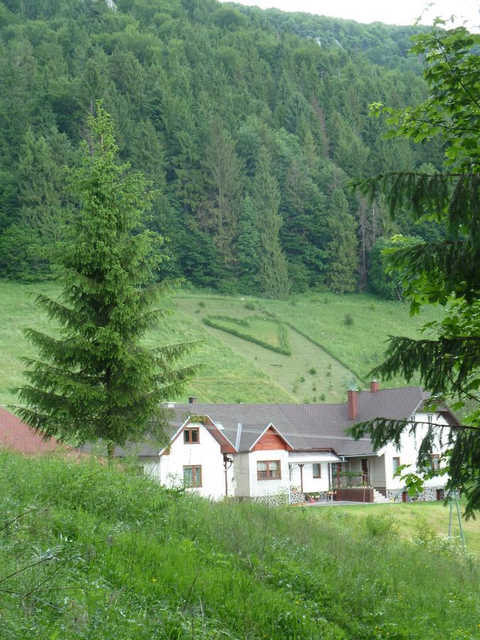 Penzion Borovica Stratená Exteriör bild